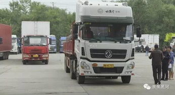 黑河貨運口岸輪渡恢復通航，助力跨境貨物運輸暢通